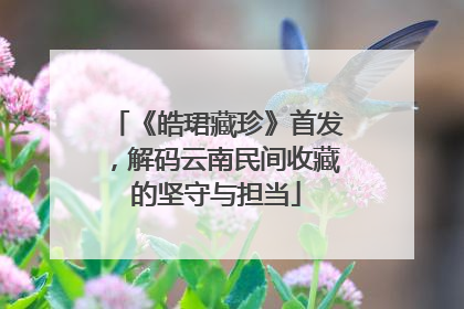 《皓珺藏珍》首发，解码云南民间收藏的坚守与担当