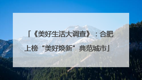 《美好生活大调查》：合肥上榜“美好焕新”典范城市