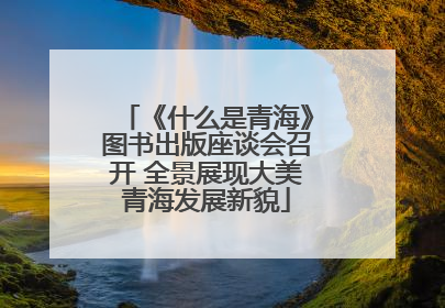 《什么是青海》图书出版座谈会召开 全景展现大美青海发展新貌