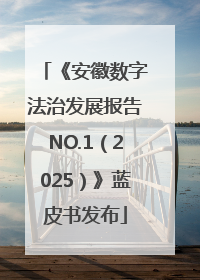 《安徽数字法治发展报告NO.1（2025）》蓝皮书发布