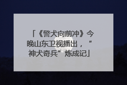 《警犬向前冲》今晚山东卫视播出，“神犬奇兵”炼成记