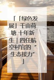 「绿色发展」千亩荷塘 十年新生｜四任航空村官的“生态接力”
