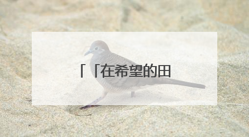 「在希望的田野上·三夏时节」全国夏粮小麦收获进度过半