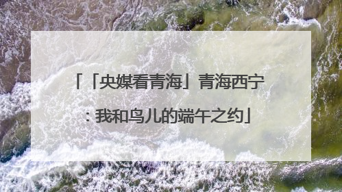 「央媒看青海」青海西宁：我和鸟儿的端午之约