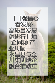 「强信心 看发展·高质量发展调研行」地企同频 产业共振——永昌县与金川集团地企融合推动重大项目建设