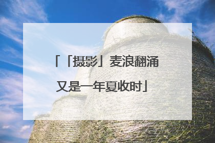 「摄影」麦浪翻涌 又是一年夏收时