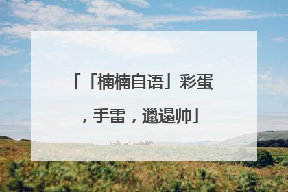 「楠楠自语」彩蛋，手雷，邋遢帅