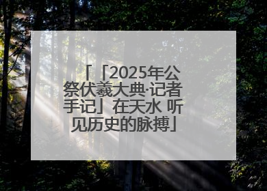 「2025年公祭伏羲大典·记者手记」在天水 听见历史的脉搏