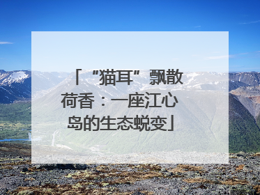 “猫耳”飘散荷香：一座江心岛的生态蜕变