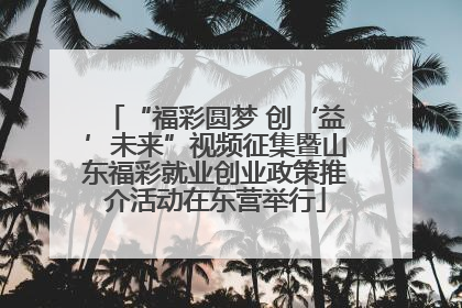 “福彩圆梦 创‘益’未来”视频征集暨山东福彩就业创业政策推介活动在东营举行