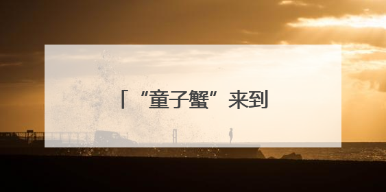 “童子蟹”来到厦门市场，专家支招如何挑选→