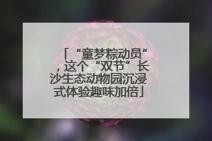 “童梦粽动员”，这个“双节”长沙生态动物园沉浸式体验趣味加倍
