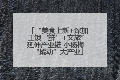 “美食上新+深加工锁‘鲜’+文旅”延伸产业链 小杨梅“撬动”大产业