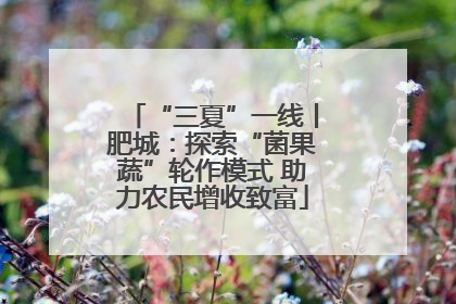 “三夏”一线丨肥城：探索“菌果蔬”轮作模式 助力农民增收致富