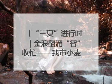“三夏”进行时｜金浪翻涌“智”收忙——我市小麦开镰收割见闻