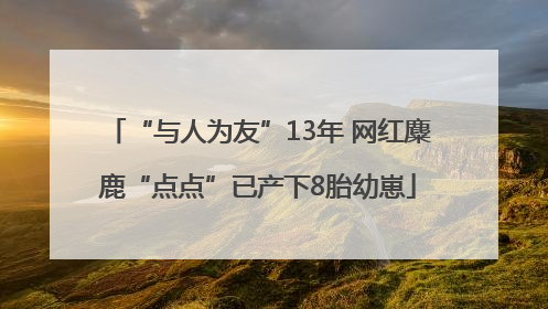 “与人为友”13年 网红麋鹿“点点”已产下8胎幼崽