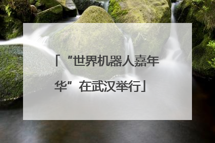 “世界机器人嘉年华”在武汉举行