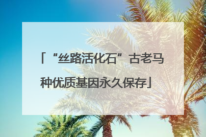 “丝路活化石”古老马种优质基因永久保存