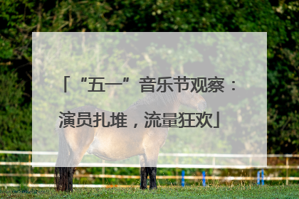 “五一”音乐节观察：演员扎堆，流量狂欢