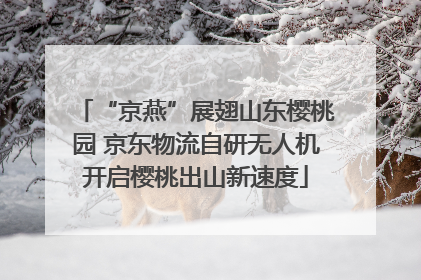 “京燕”展翅山东樱桃园 京东物流自研无人机开启樱桃出山新速度