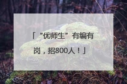 “优师生”有编有岗，招800人！