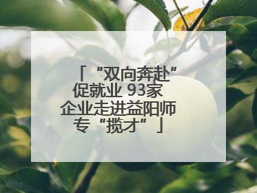 “双向奔赴”促就业 93家企业走进益阳师专“揽才”