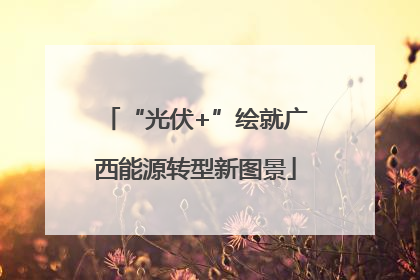 “光伏+”绘就广西能源转型新图景