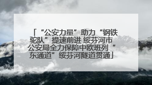 “公安力量”助力“钢铁驼队”提速前进 绥芬河市公安局全力保障中欧班列“东通道”绥芬河隧道贯通