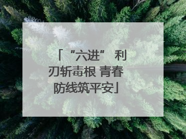“六进” 利刃斩毒根 青春防线筑平安