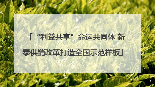 “利益共享”命运共同体 新泰供销改革打造全国示范样板