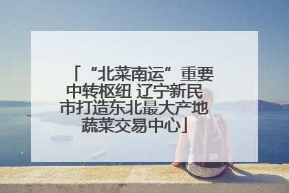 “北菜南运”重要中转枢纽 辽宁新民市打造东北最大产地蔬菜交易中心