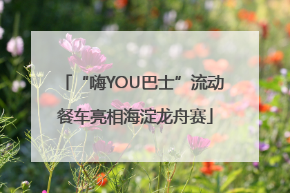 “嗨YOU巴士”流动餐车亮相海淀龙舟赛