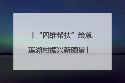“四维帮扶”绘就莲湖村振兴新图景