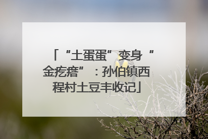 “土蛋蛋”变身“金疙瘩”：孙伯镇西程村土豆丰收记