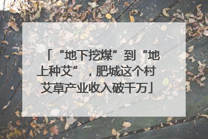“地下挖煤”到“地上种艾”，肥城这个村艾草产业收入破千万