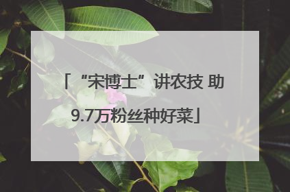 “宋博士”讲农技 助9.7万粉丝种好菜