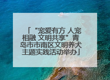 “宠爱有方 人宠相融 文明共享”青岛市市南区文明养犬主题实践活动举办