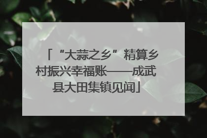 “大蒜之乡”精算乡村振兴幸福账——成武县大田集镇见闻