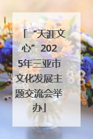 “天涯文心”2025年三亚市文化发展主题交流会举办