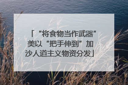 “将食物当作武器” 美以“把手伸到”加沙人道主义物资分发