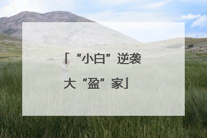 “小白”逆袭大“盈”家