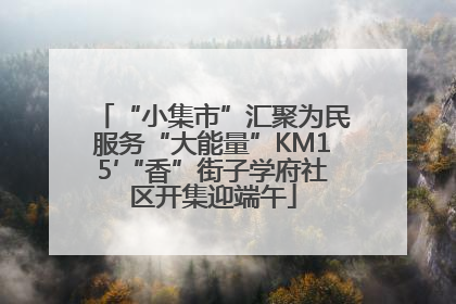 “小集市”汇聚为民服务“大能量”KM15′“香”街子学府社区开集迎端午