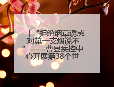 “拒绝烟草诱惑 对第一支烟说不”——曹县疾控中心开展第38个世界无烟日科普宣传活动