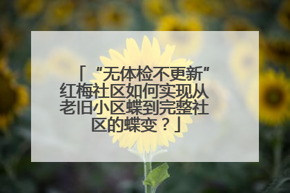 “无体检不更新”红梅社区如何实现从老旧小区蝶到完整社区的蝶变？