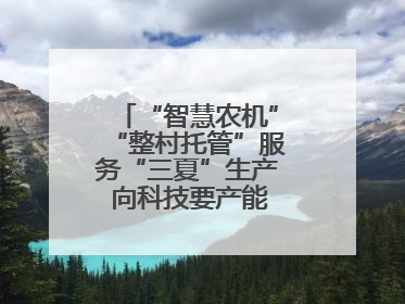 “智慧农机”“整村托管”服务“三夏”生产 向科技要产能筑牢丰产基础