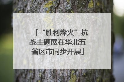 “胜利烽火”抗战主题展在华北五省区市同步开展