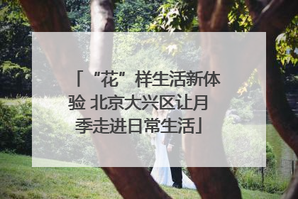 “花”样生活新体验 北京大兴区让月季走进日常生活