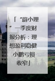 “蔚小理”一季度财报分析：理想盈利稳健 小鹏亏损收窄