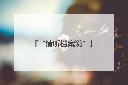 “请听档案说”