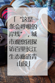 “这是一条会呼吸的岸线”，城市观察团探访百里长江生态廊道青山段
